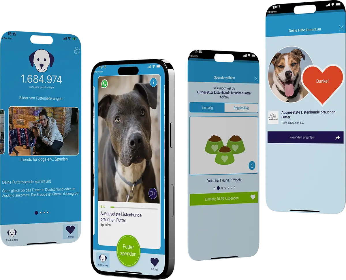 feed a dog | feed a cat Screens