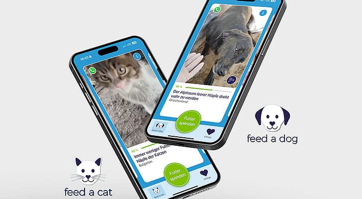 feed a dog / feed a cat - ein Herzensprojekt