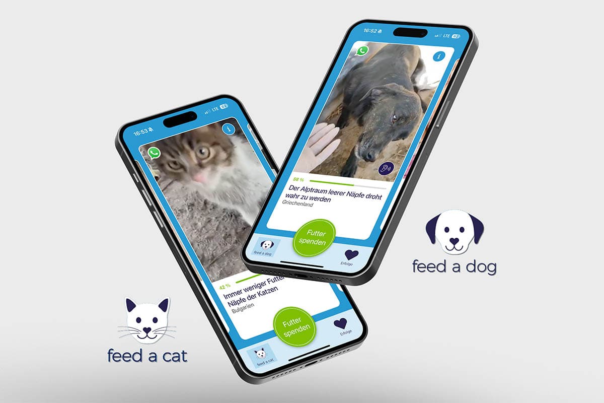 feed a dog / feed a cat - ein Herzensprojekt